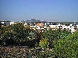 nice002.jpg