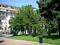 nice026.jpg