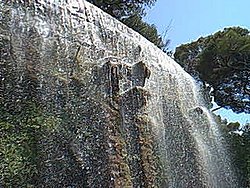 nice082.jpg